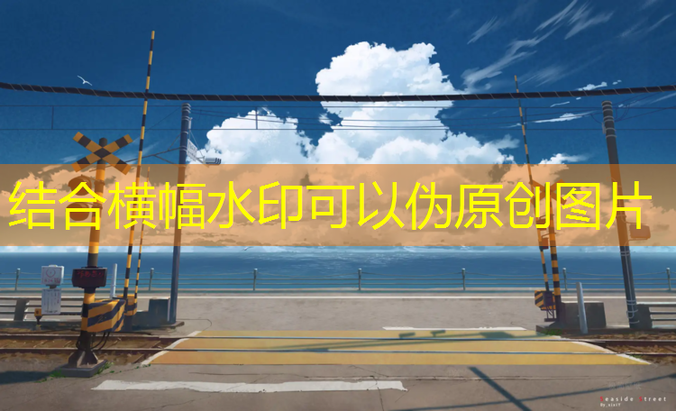 跆拳道实战护具有哪些_