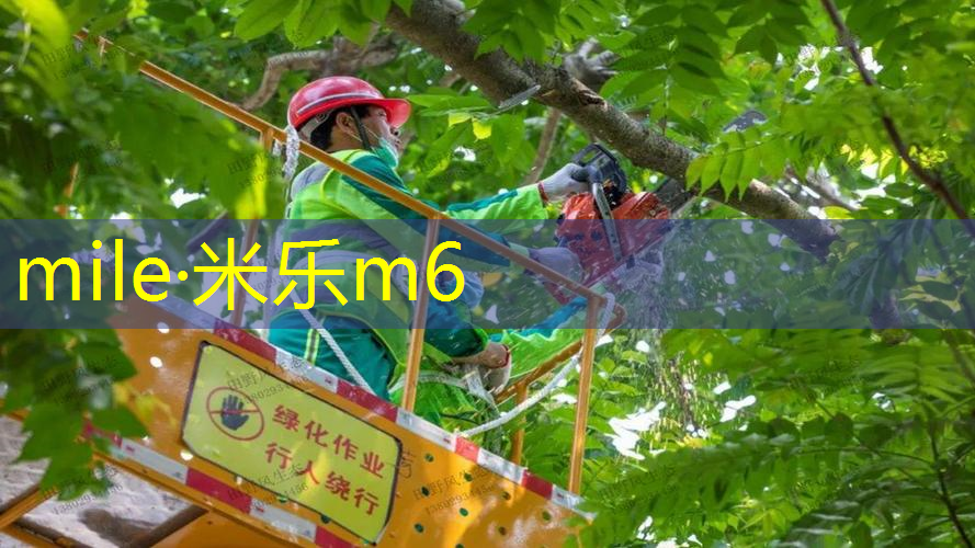 网球拍的绳是什么材料
