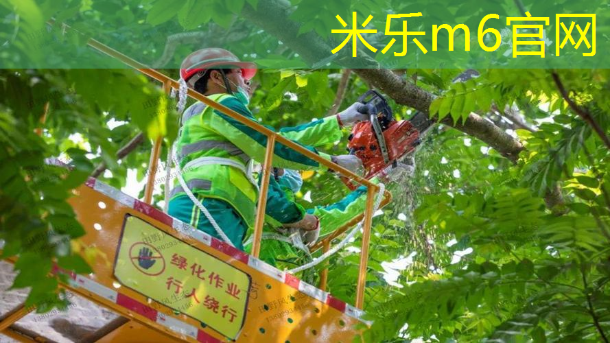 网球拍一般怎么选