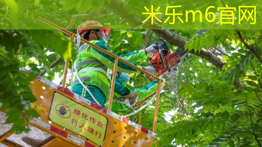 米乐m6官网登录入口：怎么选择进阶网球拍子型号