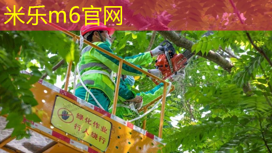 米乐：网球拍的拍柄的编号