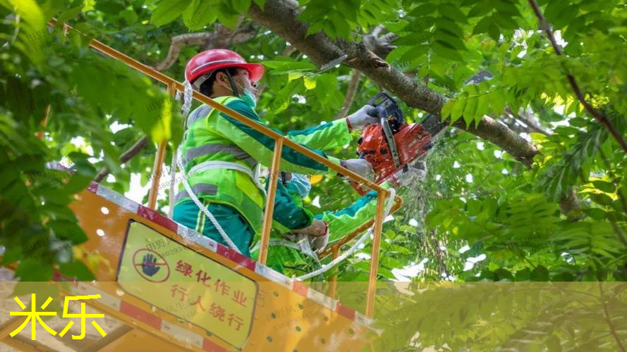 网球拍手胶如何不脱落