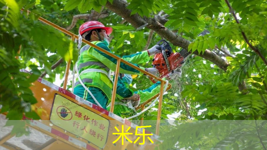 米乐m6官网登录入口：网球拍1号2号手柄区别