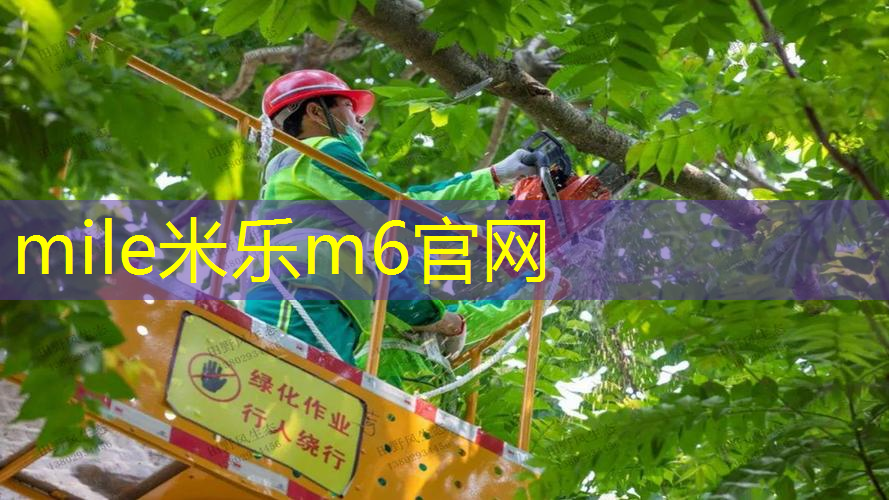 mile·米乐m6：网球拍的避震器有什么作用