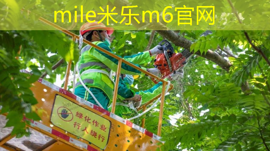 米乐m6官网登录入口：网球拍上的避震器怎么安装