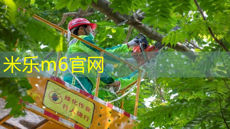米乐：网球拍磅数越高头越重吗_
