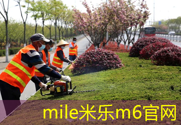 斯瓦泰克王子网球拍