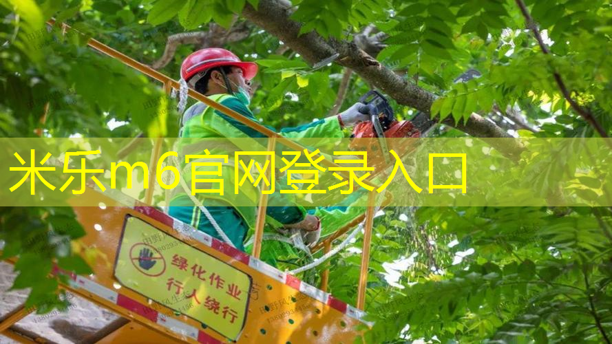 米乐m6官网登录入口：百宝力网球拍121242