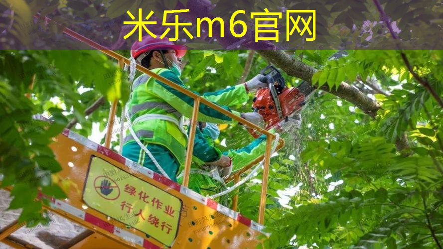 烟台网球拍穿线器怎么