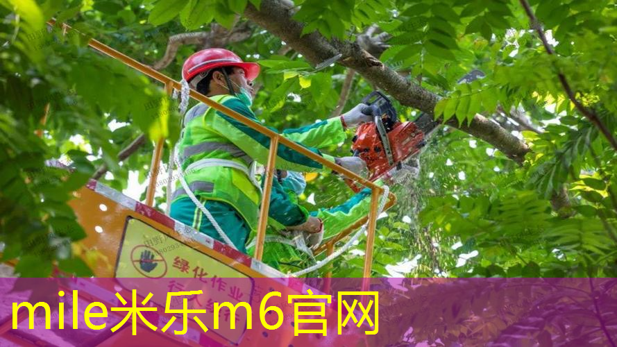 米乐m6官网：网球拍宽度大概多少磅好
