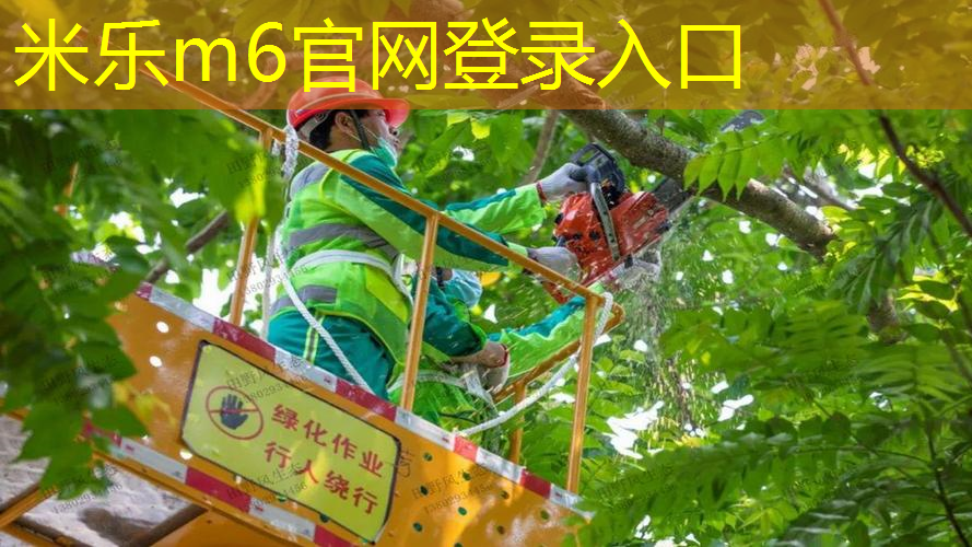 mile米乐m6官网：沃克网球拍最新款