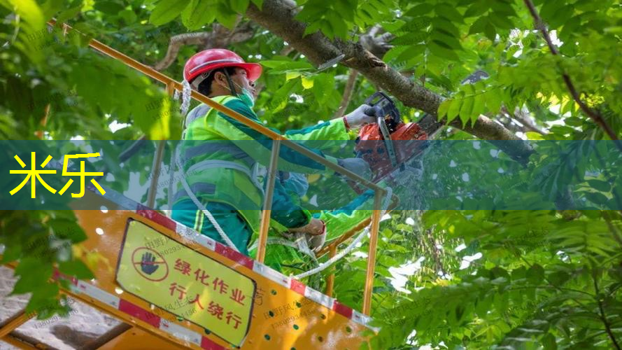 米乐：网球拍几成新怎么判断