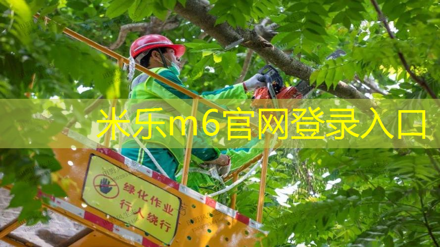 米乐m6官网登录入口：为什么网球拍是网格状的