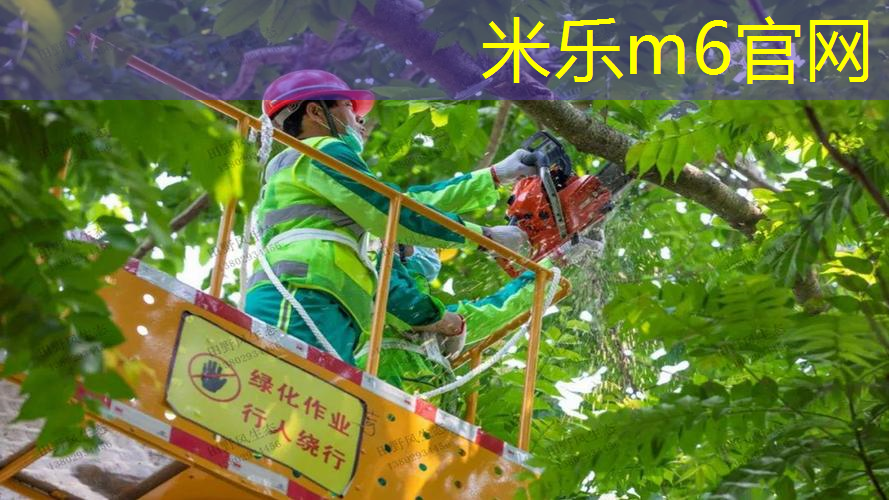 租借儿童网球拍合法吗_