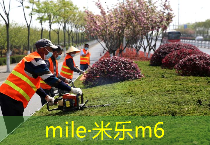 mile·米乐m6：德国海淘网球拍怎么样
