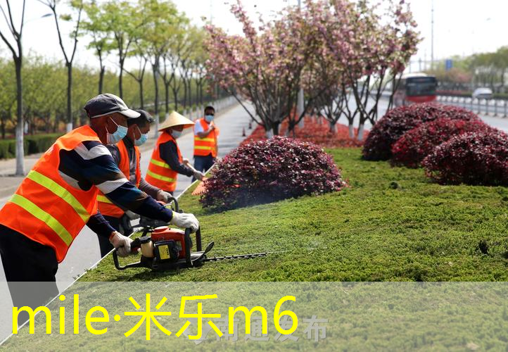 碳素网球拍的优缺点是什么