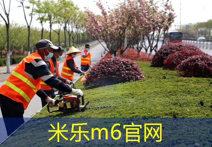 米乐：孟菲尔斯轻版网球拍