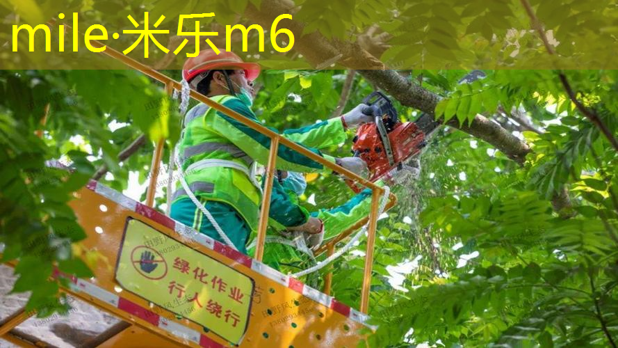 米乐m6官网：网球拍与拉球的区别