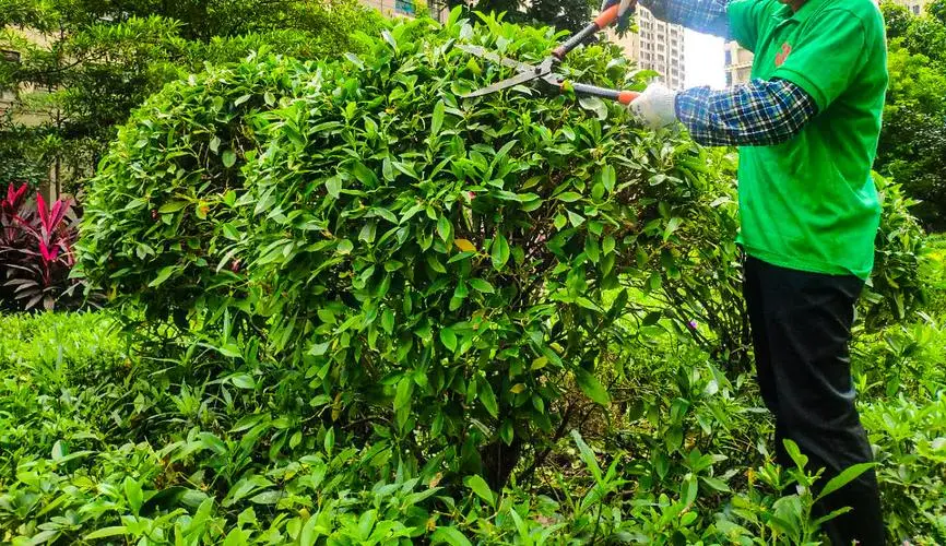 mile米乐m6官网：大球的网球拍怎么打的快