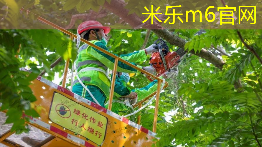 米乐：网球拍可以放到行李箱吗_