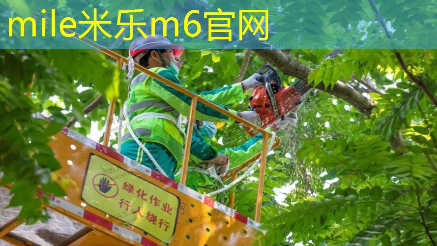 有弹性网球拍怎么选尺寸