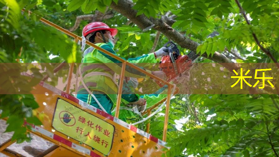 米乐m6官网：篮球力量训练需要用哪些器材