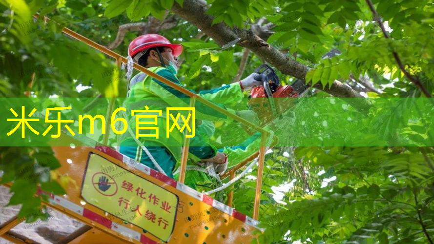 mile米乐m6官网：乒乓球台面端线和