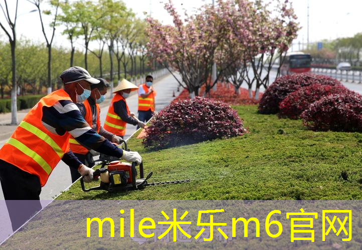 在家中放乒乓球台