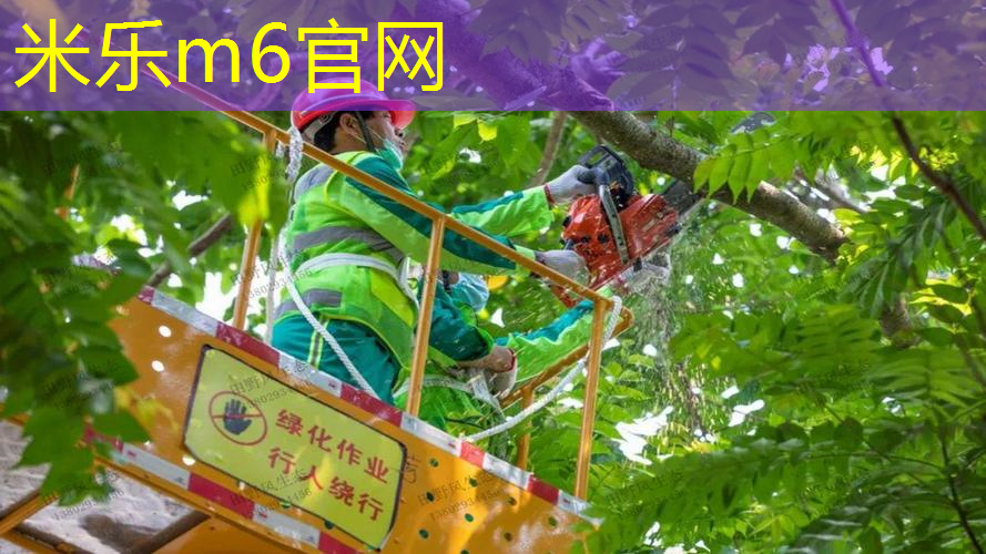 网球拍的绳是什么材料