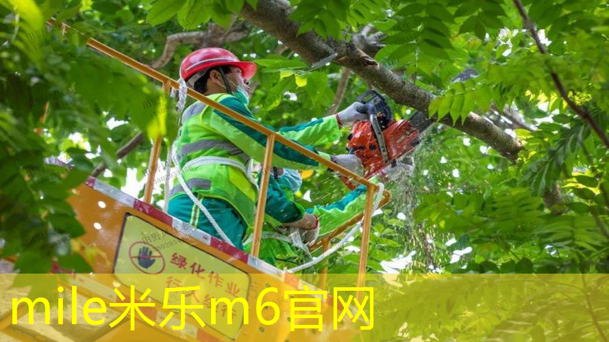 网球拍一般怎么选