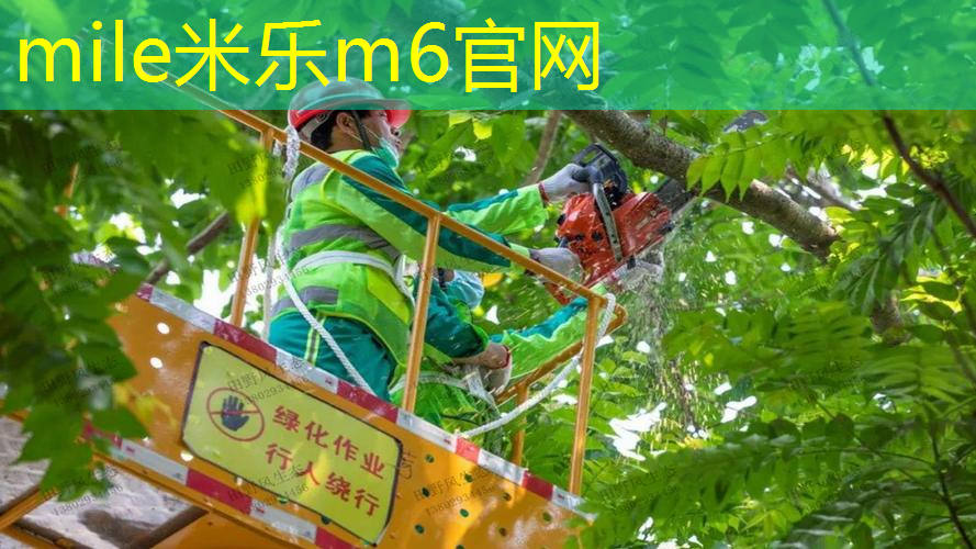 怎么选择进阶网球拍子型号