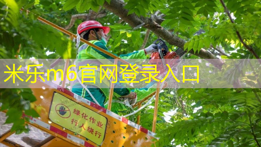 网球拍的拍柄的编号