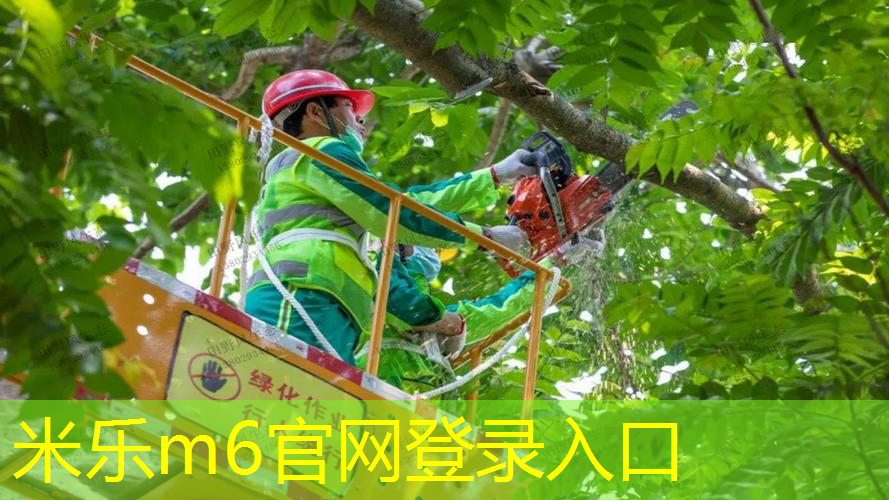 网球拍1号2号手柄区别