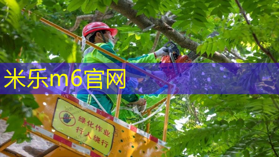网球拍的避震器有什么作用