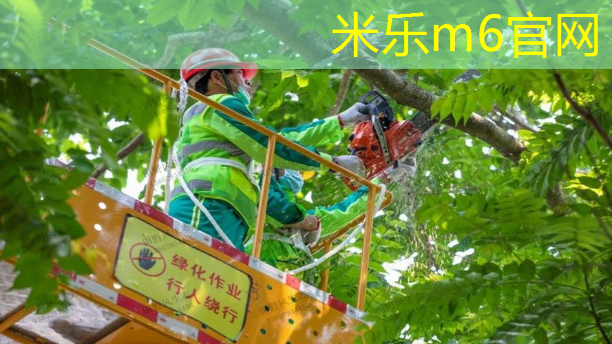 网球拍上的避震器怎么安装