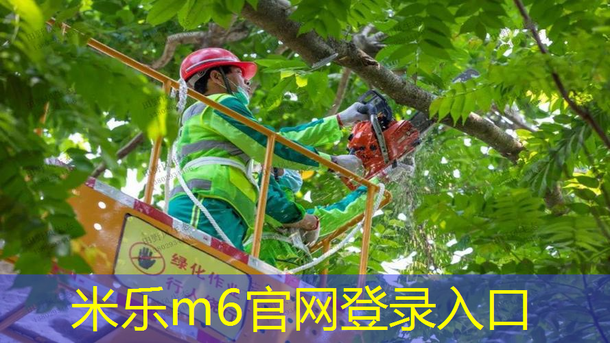 网球拍磅数越高头越重吗_