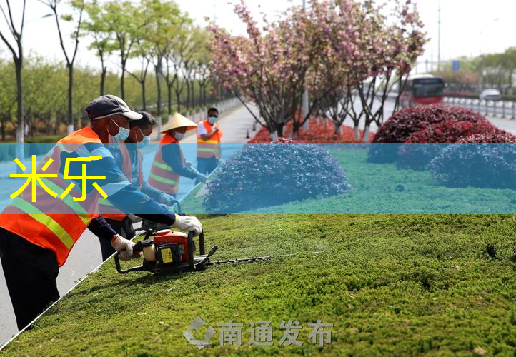 斯瓦泰克王子网球拍