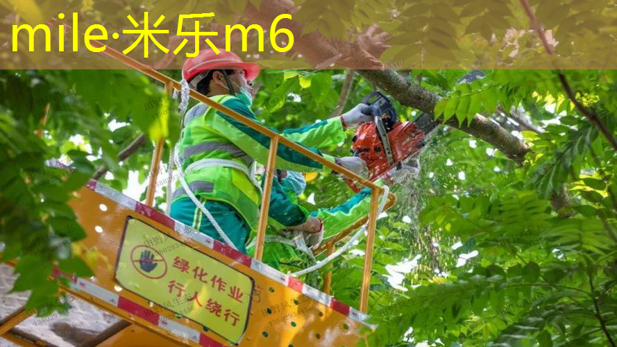 百宝力网球拍121242