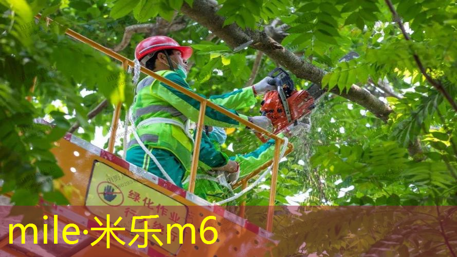 烟台网球拍穿线器怎么
