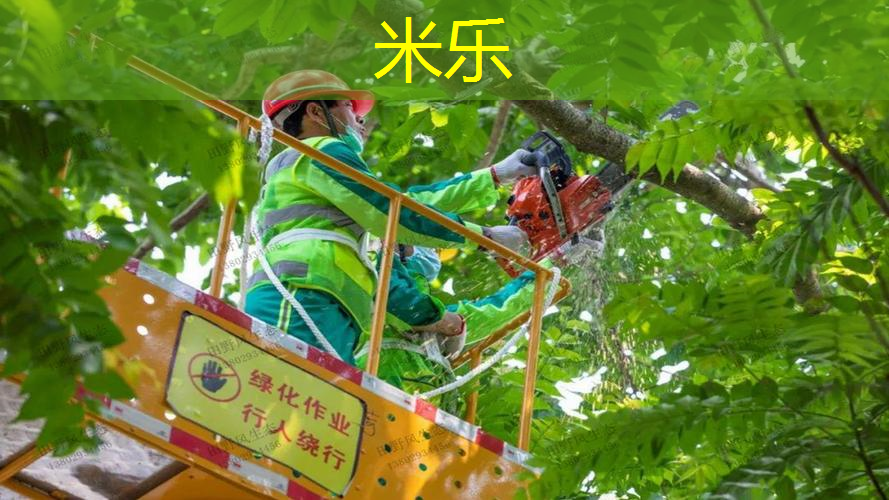 单人网球拍上带线不要底座
