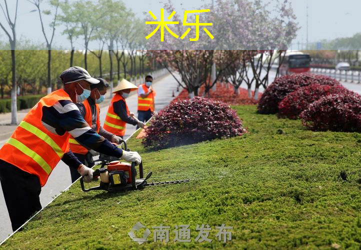 网球拍单人训练器单球