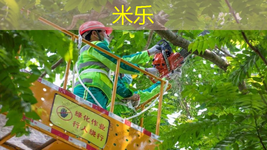 网球拍宽度大概多少磅好