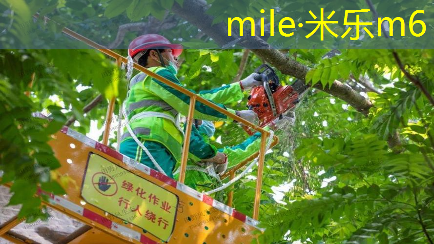 沃克网球拍最新款