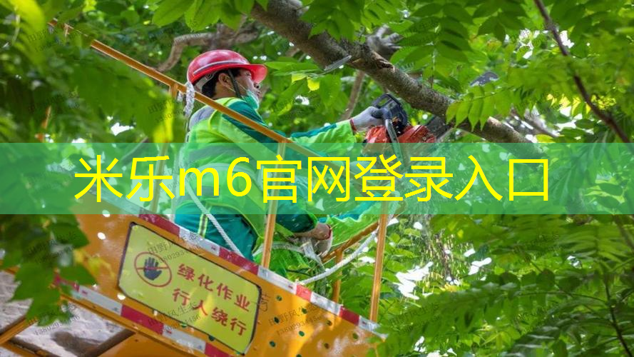 网球拍几成新怎么判断