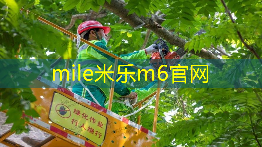 为什么网球拍是网格状的