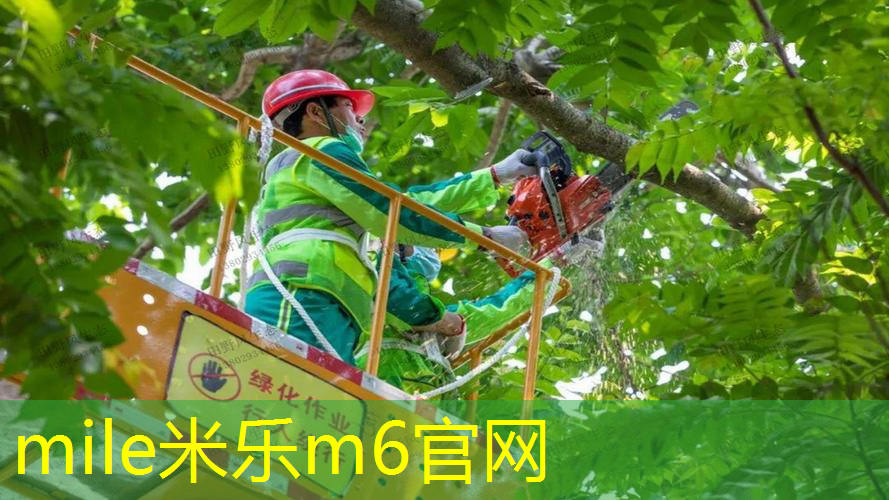 租借儿童网球拍合法吗_