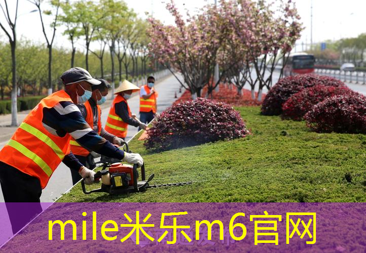 德国海淘网球拍怎么样