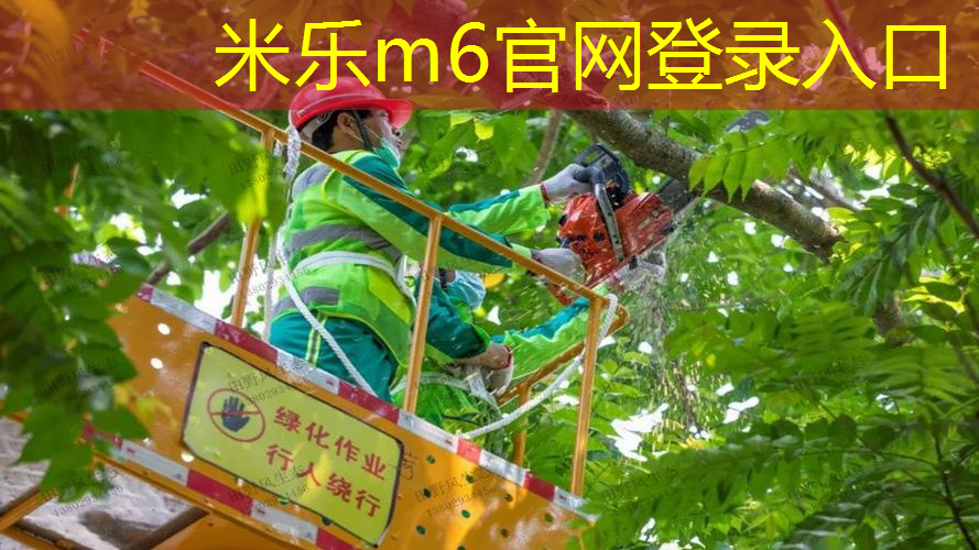 网球拍与拉球的区别