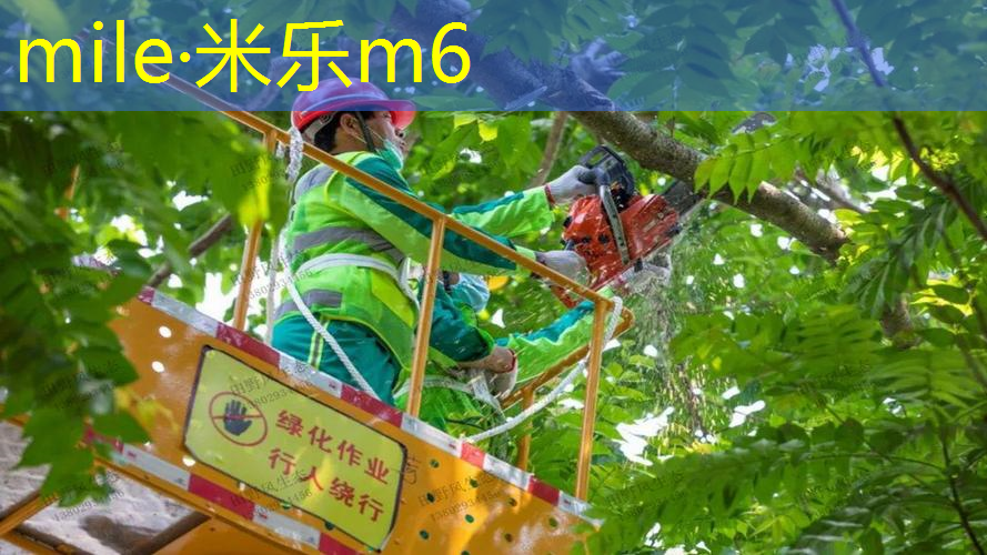 网球拍可以放到行李箱吗_