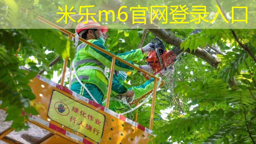 有弹性网球拍怎么选尺寸